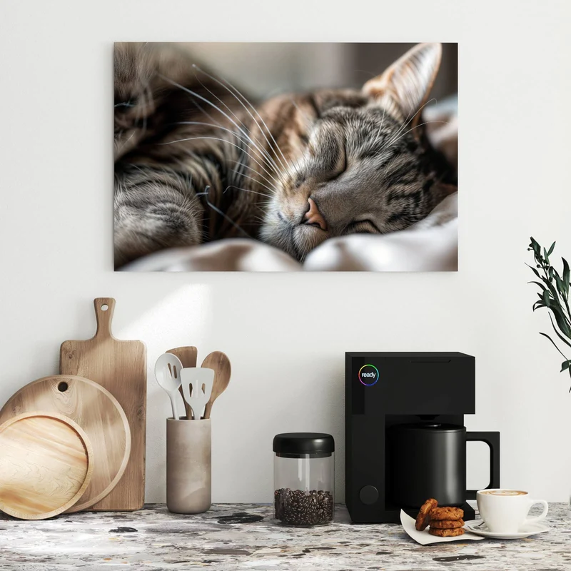 Metall Magnettafel - Schlummernde Katze