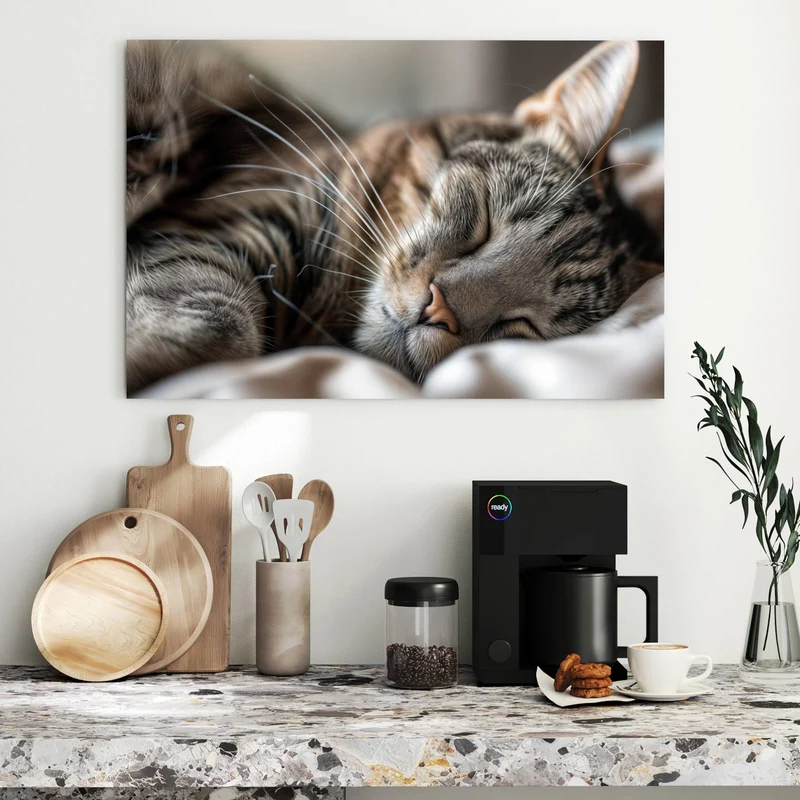 Metall Magnettafel - Schlummernde Katze