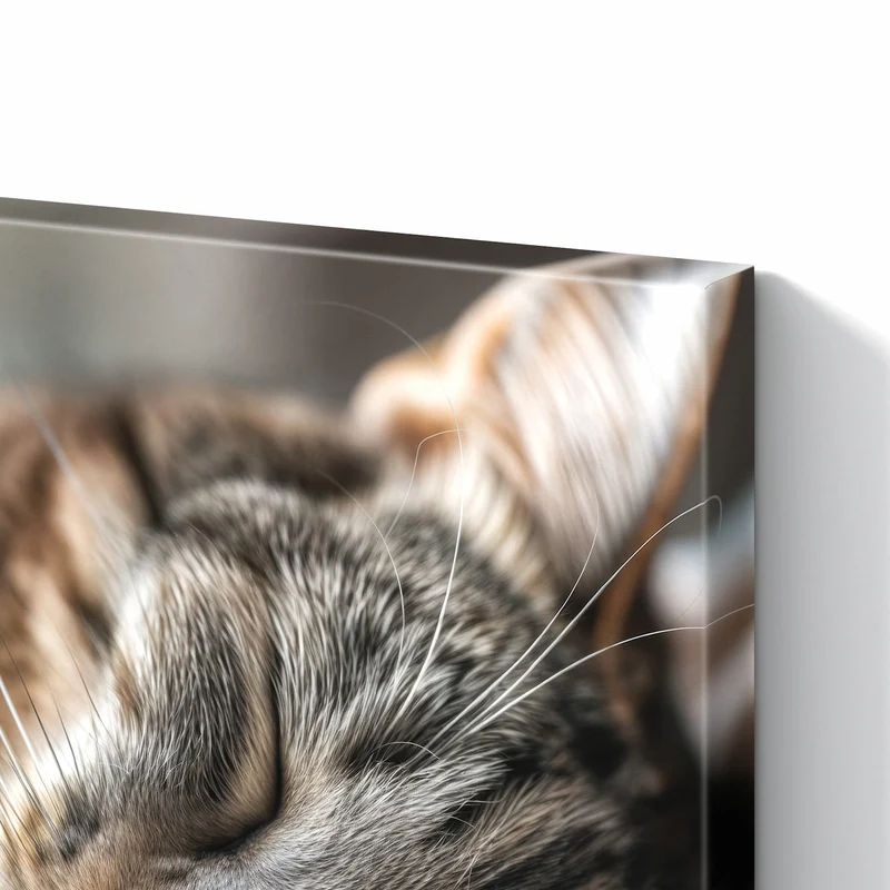 Metall Magnettafel - Schlummernde Katze