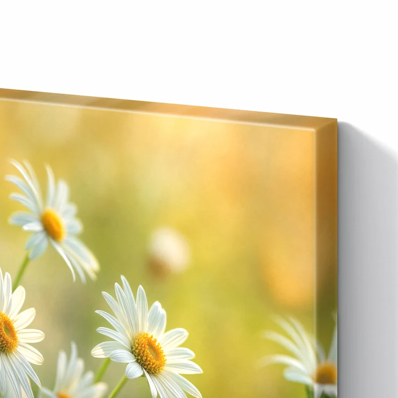 Metall Magnettafel - Weiße Margeriten