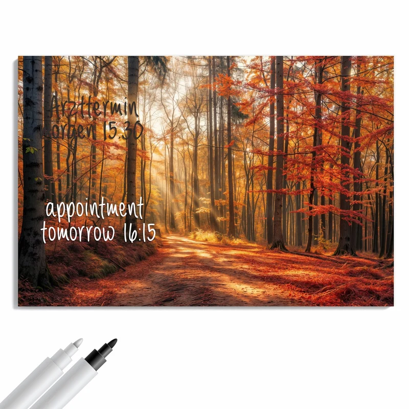 Metall Magnettafel - Waldweg im Herbstlicht