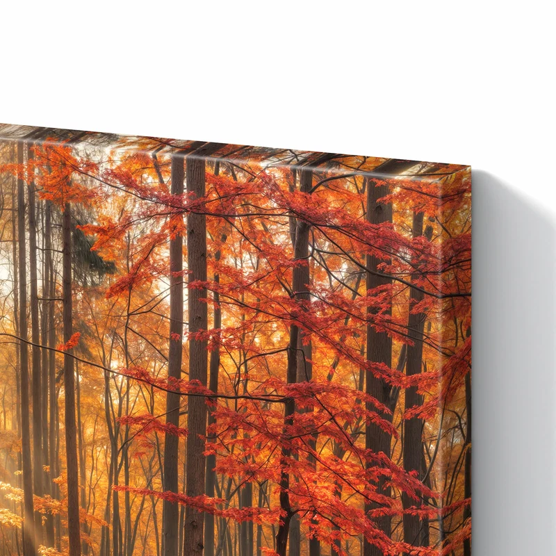 Metall Magnettafel - Waldweg im Herbstlicht