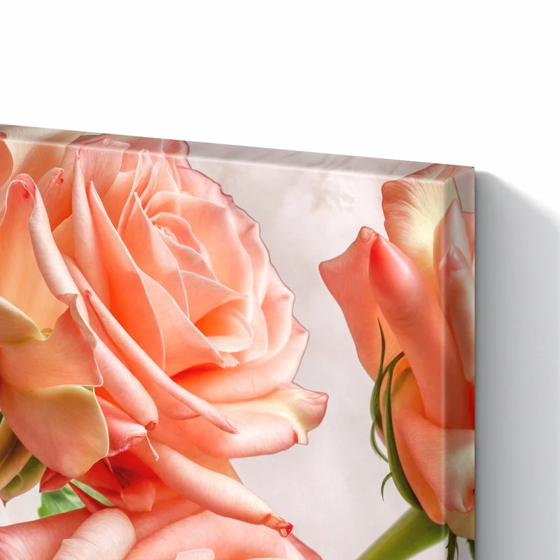 Metall Magnettafel - Korallenrote Rosen