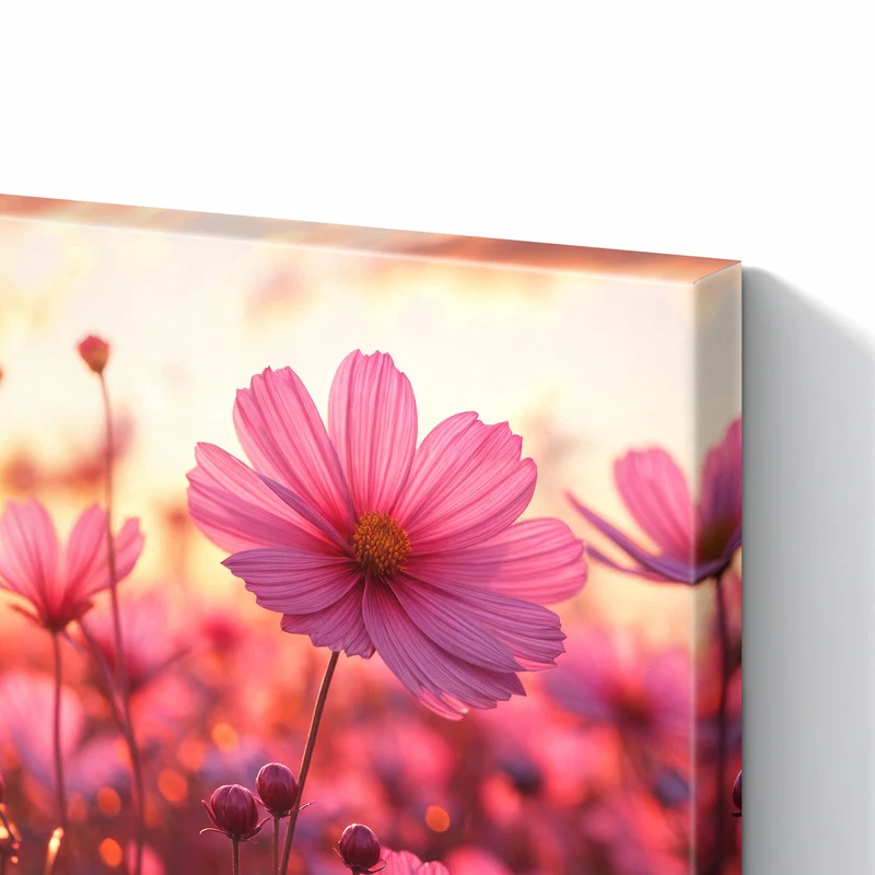 Metall Magnettafel - Cosmeen im Abendlicht