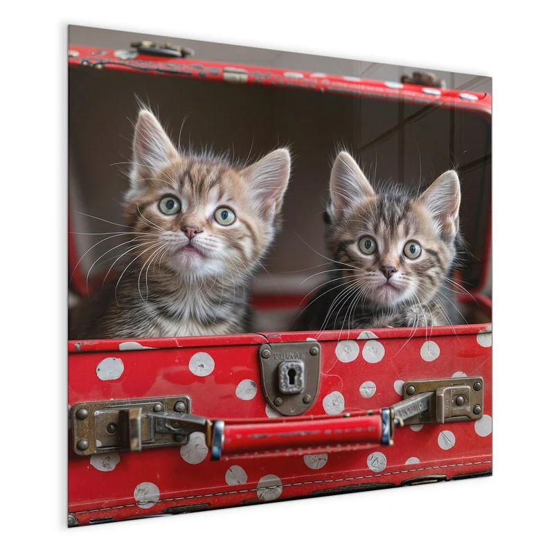 Magnettafel - Katzen im Koffer