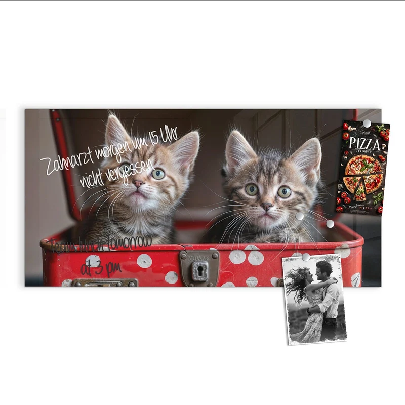 Magnettafel - Katzen im Koffer