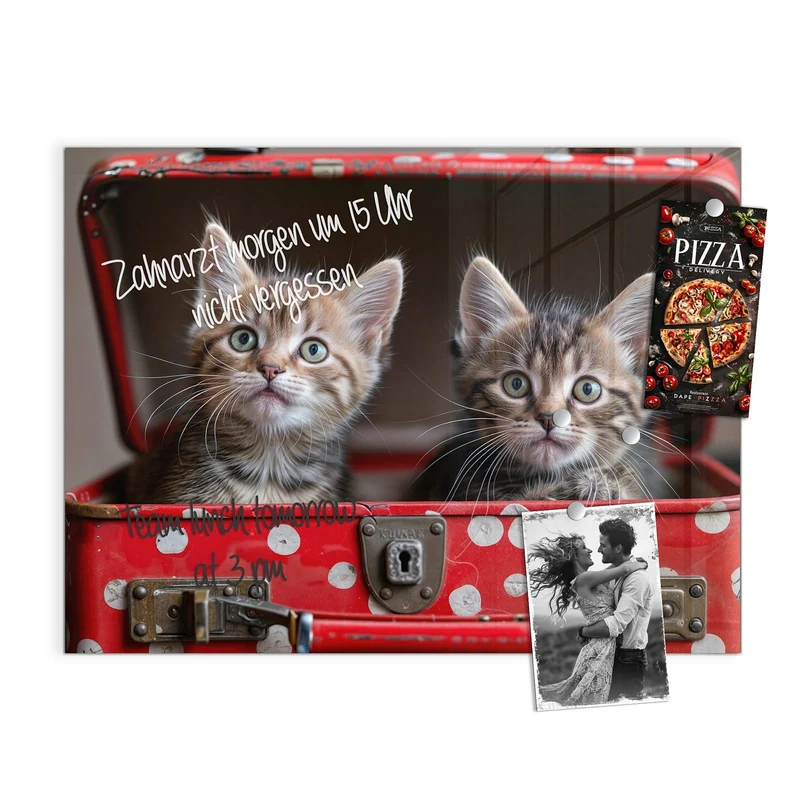 Magnettafel - Katzen im Koffer