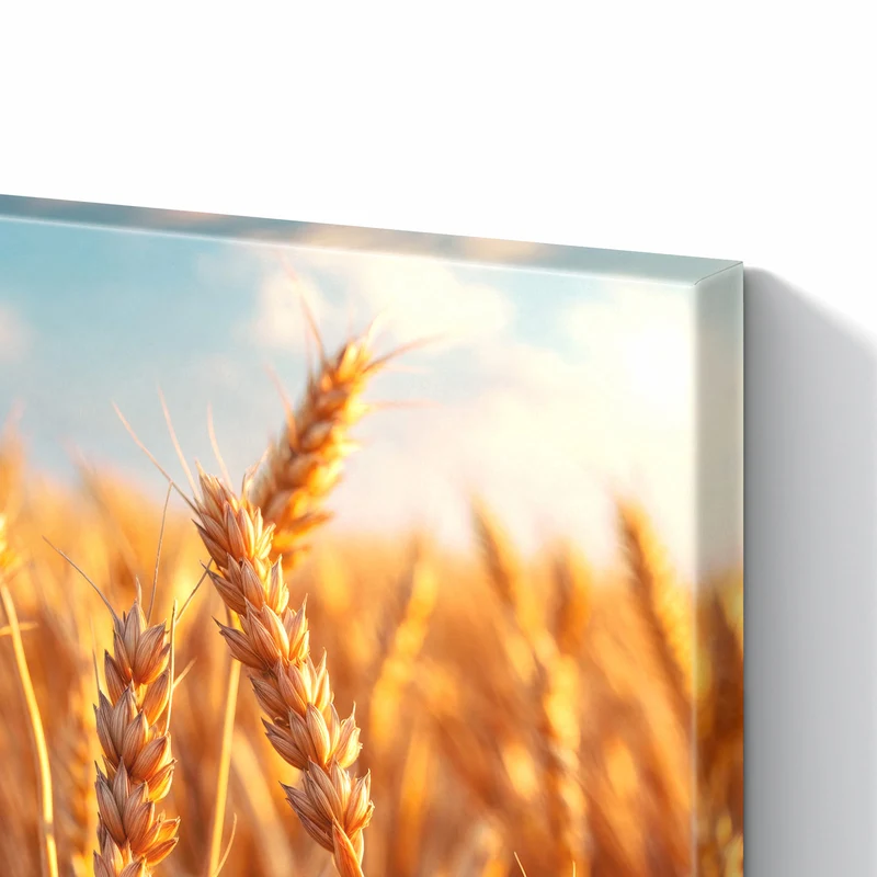 Metall Magnettafel - Reifer Weizen
