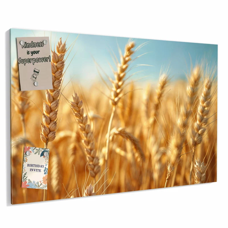 Metall Magnettafel - Weizen im Sonnenlicht