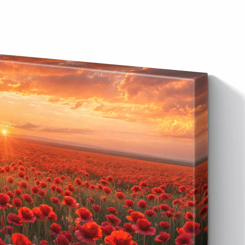 Metall Magnettafel - Mohnfeld im Abendrot