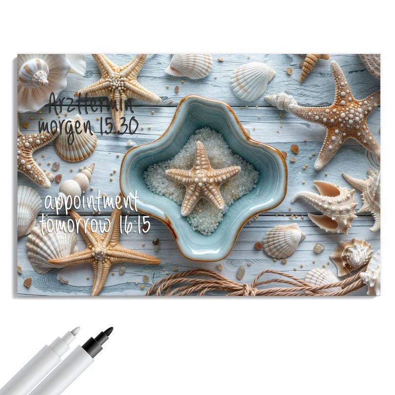 Metall Magnettafel - Seesterne und Muscheln