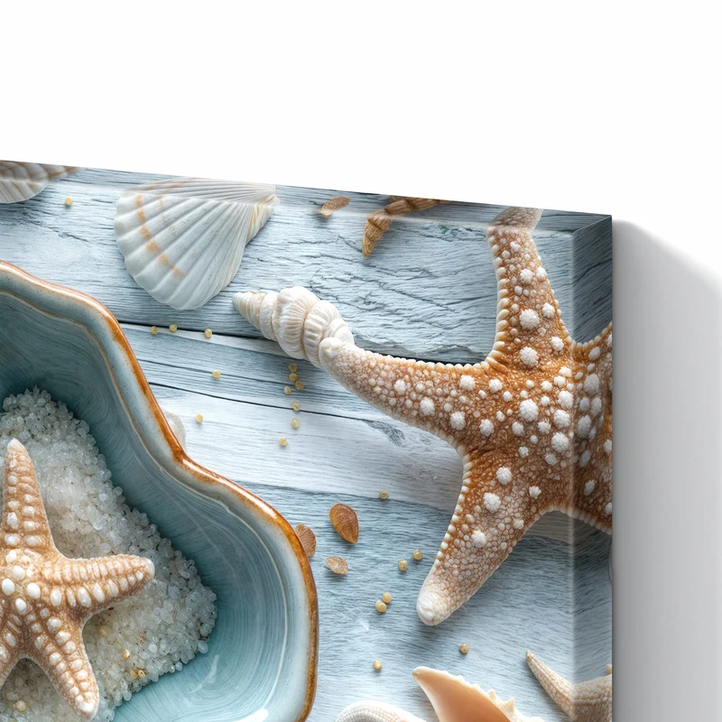 Metall Magnettafel - Seesterne und Muscheln