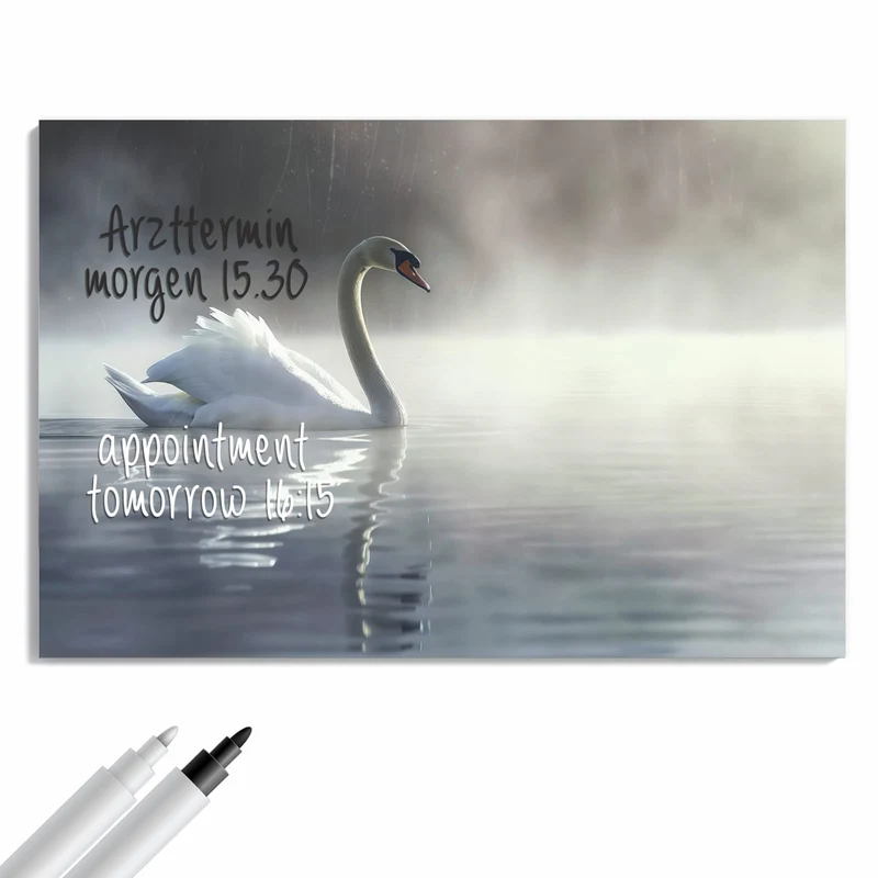 Metall Magnettafel - Schwimmender Schwan