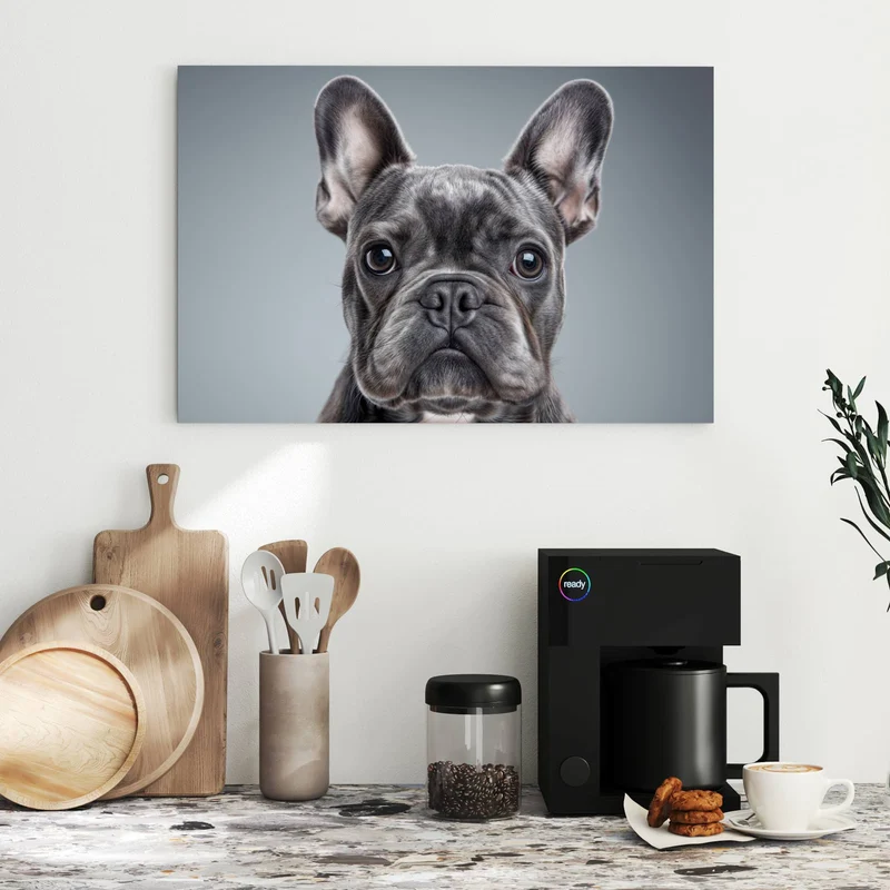 Metall Magnettafel - Französische Bulldogge