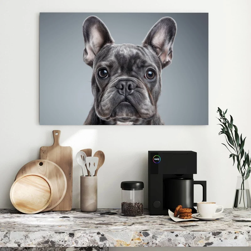 Metall Magnettafel - Französische Bulldogge