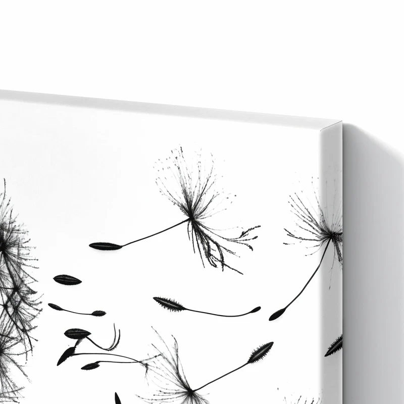 Metall Magnettafel - Pusteblume auf Weiß