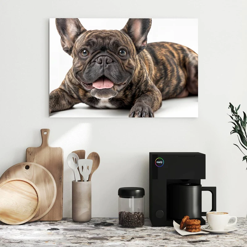 Metall Magnettafel - Liegende Bulldogge
