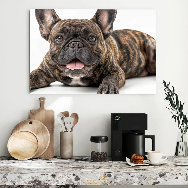 Metall Magnettafel - Liegende Bulldogge