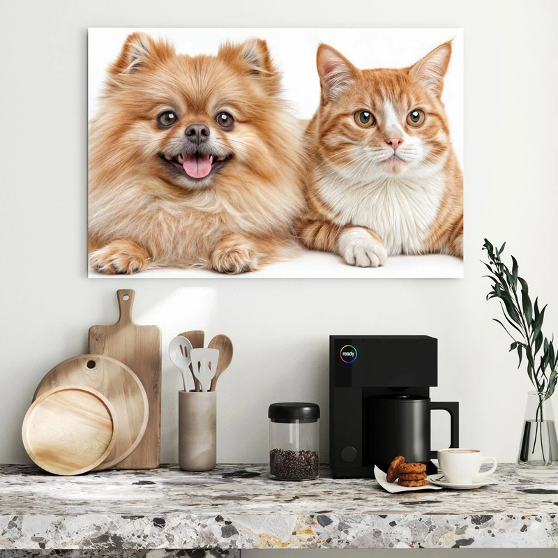 Metall Magnettafel - Spitz und Katze