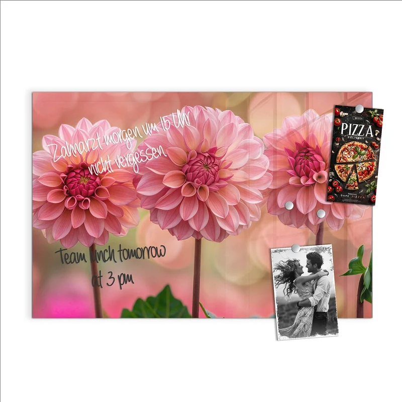 Magnettafel - Drei rosa Dahlien