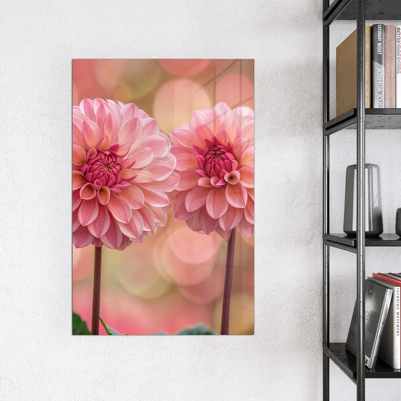 Magnettafel - Drei rosa Dahlien