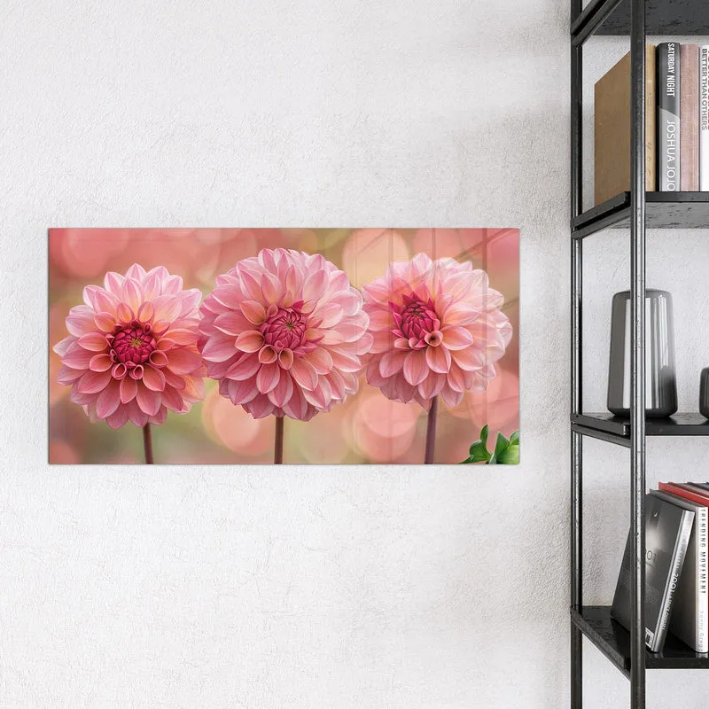 Magnettafel - Drei rosa Dahlien