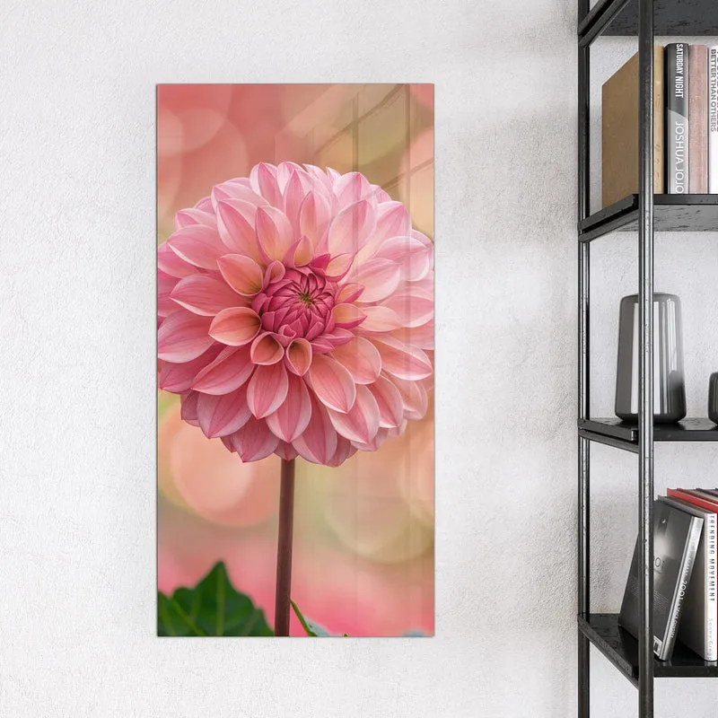 Magnettafel - Drei rosa Dahlien