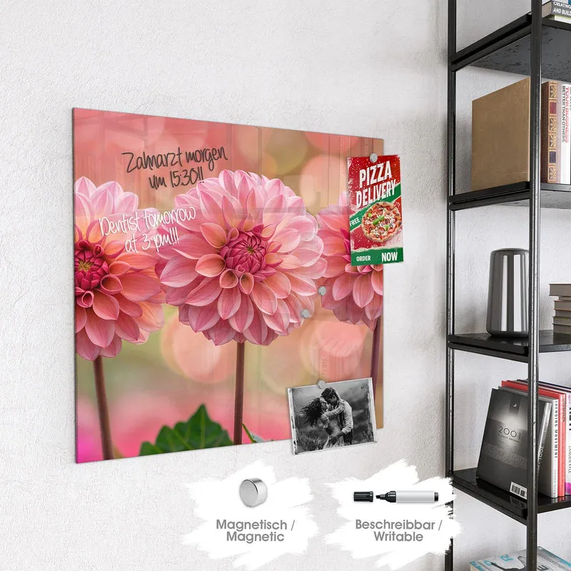 Magnettafel - Drei rosa Dahlien