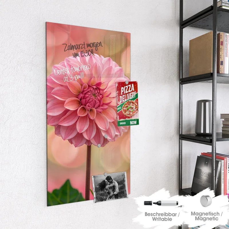 Magnettafel - Drei rosa Dahlien