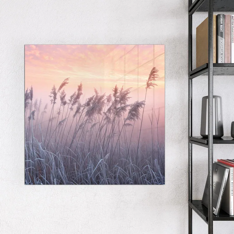 Magnettafel - Schilf im Morgenrot