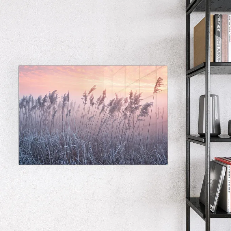 Magnettafel - Schilf im Morgenrot