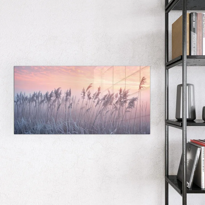 Magnettafel - Schilf im Morgenrot