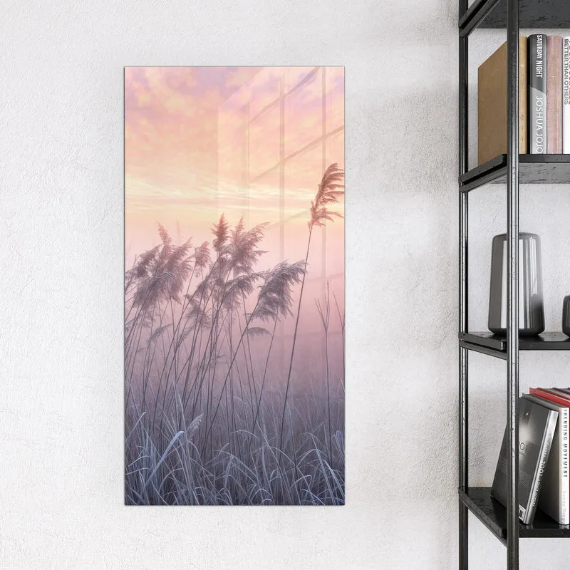 Magnettafel - Schilf im Morgenrot