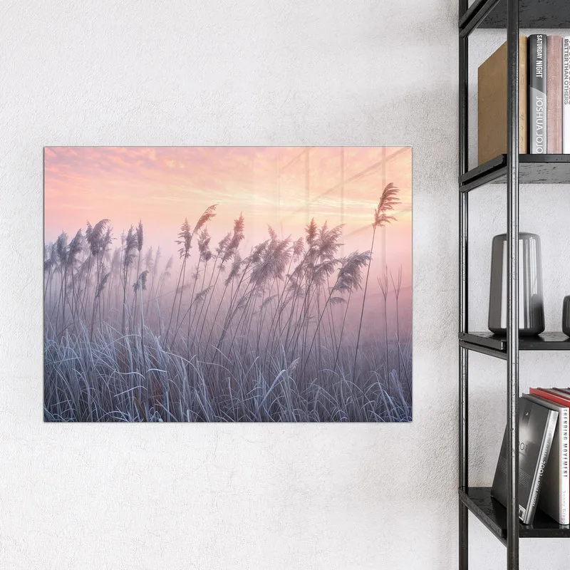 Magnettafel - Schilf im Morgenrot
