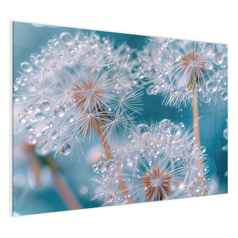 Magnettafel - Pusteblumen mit Tropfen