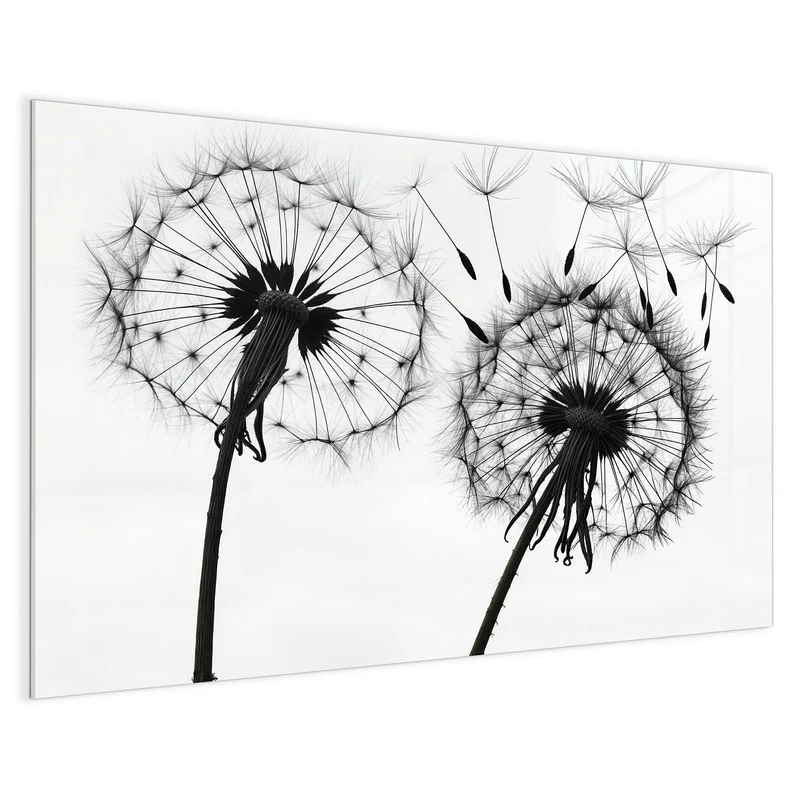 Magnettafel - Pusteblumen in Grau