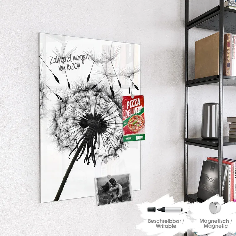 Magnettafel - Pusteblumen in Grau