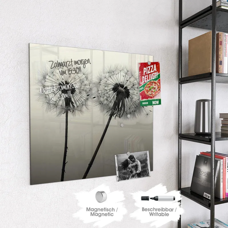 Magnettafel - Pusteblume in Sepia
