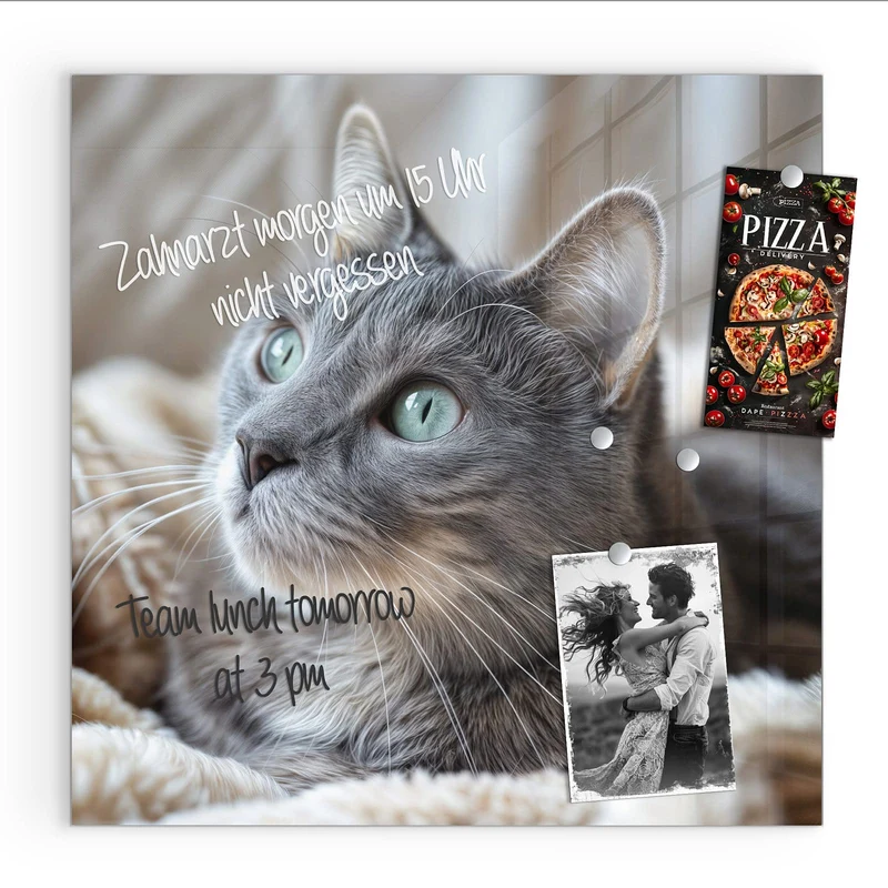 Magnettafel - Graue Katze auf Decke