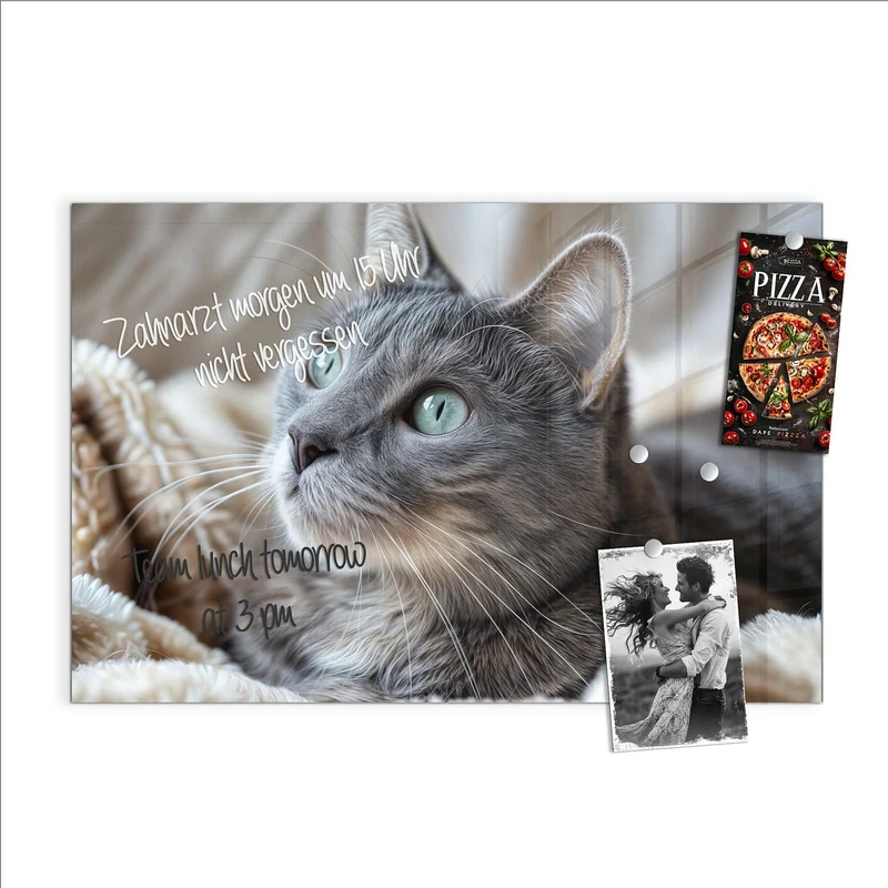 Magnettafel - Graue Katze auf Decke