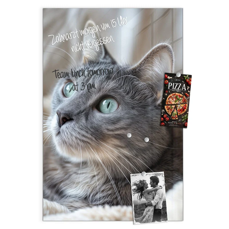 Magnettafel - Graue Katze auf Decke
