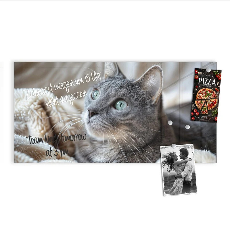 Magnettafel - Graue Katze auf Decke