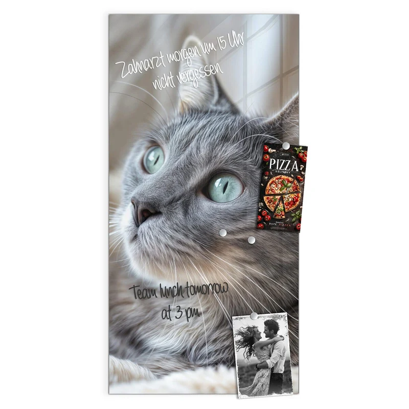 Magnettafel - Graue Katze auf Decke