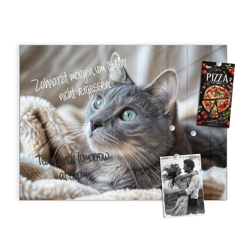 Magnettafel - Graue Katze auf Decke
