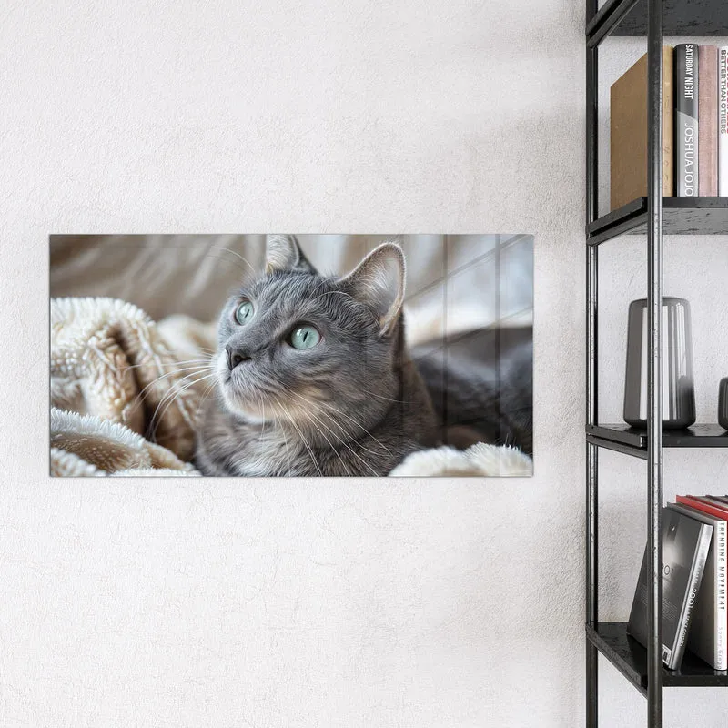 Magnettafel - Graue Katze auf Decke