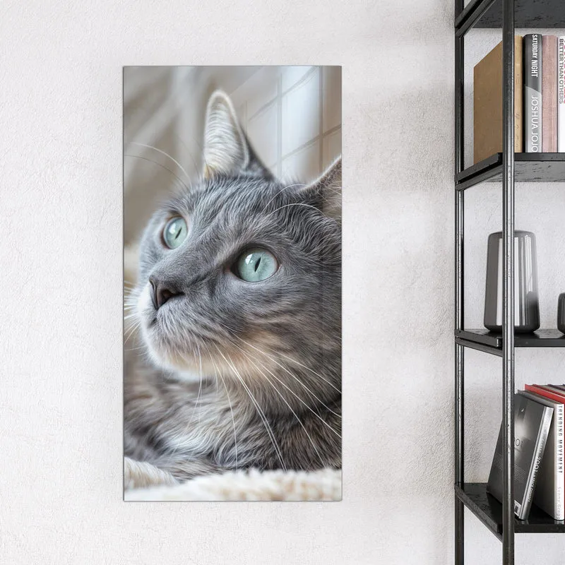 Magnettafel - Graue Katze auf Decke