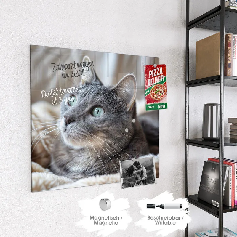 Magnettafel - Graue Katze auf Decke