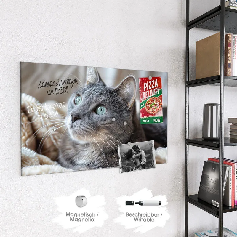 Magnettafel - Graue Katze auf Decke