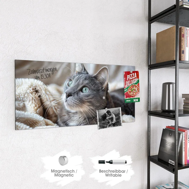 Magnettafel - Graue Katze auf Decke