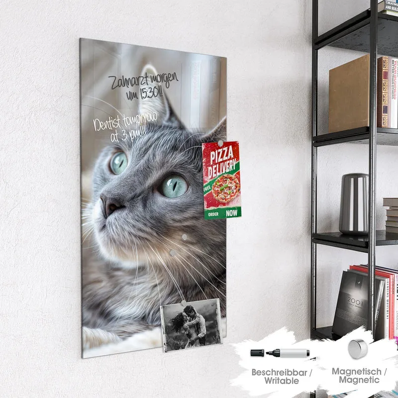 Magnettafel - Graue Katze auf Decke